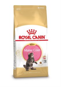 Royal canin kitten maine coon